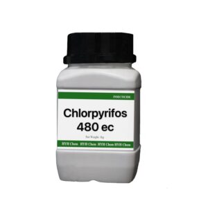 Pesticide Chlorpyrifos 480 EC Clorpirifos Chlorpyrifos 48% Agriculture Chemicals