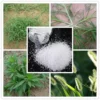 High Quality Agrochemical Roundup Herbicide 95% Glyphosate For Weeds